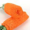 Reedog carrot, loofah dental toy