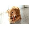 Reedog Bone, dentální hračka pro psy