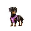 STEP-IN harness PURPLE