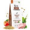 Expiry 11/08/2026: Brit Care Dog Hypoallergenic Weight Loss Rabbit 12 kg