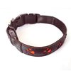 Collar luminoso recargable Reedog PATITAS