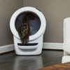 Litter-Robot 4 selbstreinigendes Katzentoilette/Whisker