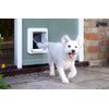 Door SureFlap with microchip for dogs