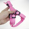 Reedog shining harness for dogs and cats