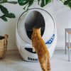 Litter-Robot III automatic self-cleaning toilet for cats