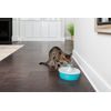 Fountain for cats and dogs Drinkwell Butterfly