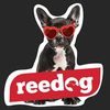 Reedog Air Fresh zawieszka zapachowa / Wiśnia