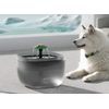 Petwant W7 pet fountain