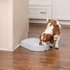 PetSafe®, 5-Meal Pet Feeder