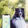 USED - Tractive GPS DOG 4 – GPS Tracker for Dogs