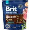 Brit Premium by Nature Sensitive Lamb 1 kg
