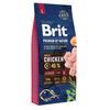 Expiry 21/07/2026: Brit Premium by Nature Junior L 15 kg