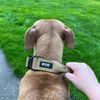 Dogtrace K9 taktický obojok pre psov s rukoväťou, khaki