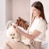 Petkit AirClipper pet grooming kit