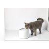 Petkit Eversweet 3 Pro UVC