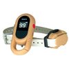 Dogtra IQ Flex