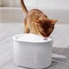 UahPet Glow Trinkrunnen für Haustiere