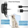 Used - Patpet BC01