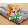 Reedog lizard tug toy