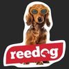 Reedog Air Fresh Zawieszka zapachowa/ Arbuz