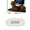 SureSense Chipleser für Hunde und andere Haustiere