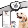 PawView smart obroża serce