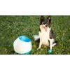 USED - iFetch Too Ball Launcher for Dogs