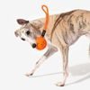 Cheerble Wicked Ball Air Rope
