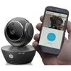 Motorola Scout 85 smart cam for dogs and cats