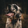 Műholdas GPS nyomkövető és kutyakiképző, hanglokátorral DOG GPS X30TB Short