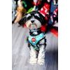 Reedog BREAD harness