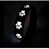 Collar luminoso recargable Reedog PATITAS