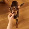 Carnilove Dog Soft Snack Duck & Rosemary 200g