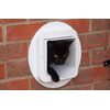 SureFlap door with microchip for cats