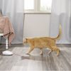 Juguete para gato, PetSafe, Laser Tail Light