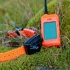 Kratší obojok pre ďalšieho psa - DOG GPS X30B Short