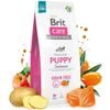 Expiră la 13.6.2026: Brit Care Dog Grain-free Puppy Salmon 12 kg