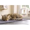 SureFlap DualScan door with microchip for cats