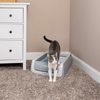 ScoopFree™ Original Automatic Cat Toilet - 2nd Generation