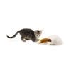 FroliCat Fox Den automatic cat toy