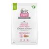 Expiră la 23.9.2026: Brit Care Dog Sustainable Adult Small Breed Chicken & Insect 3 kg