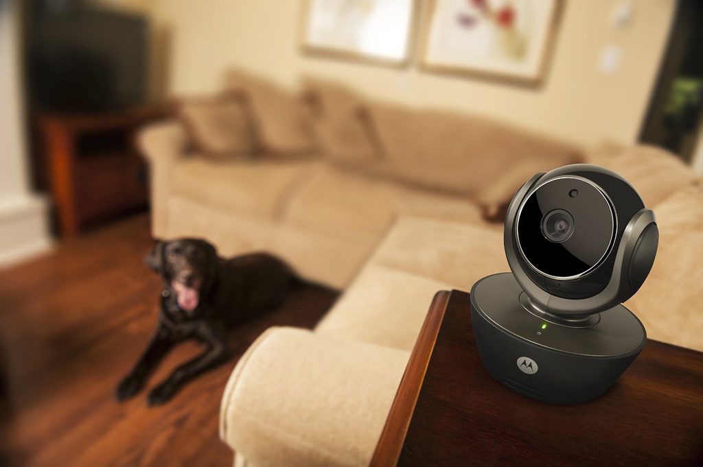 6 moderne Wege, Ihren Hund zu beobachten - Teil 4: Smart Home Kamera für  Hunde und Katzen - Elektro-Halsbander.de