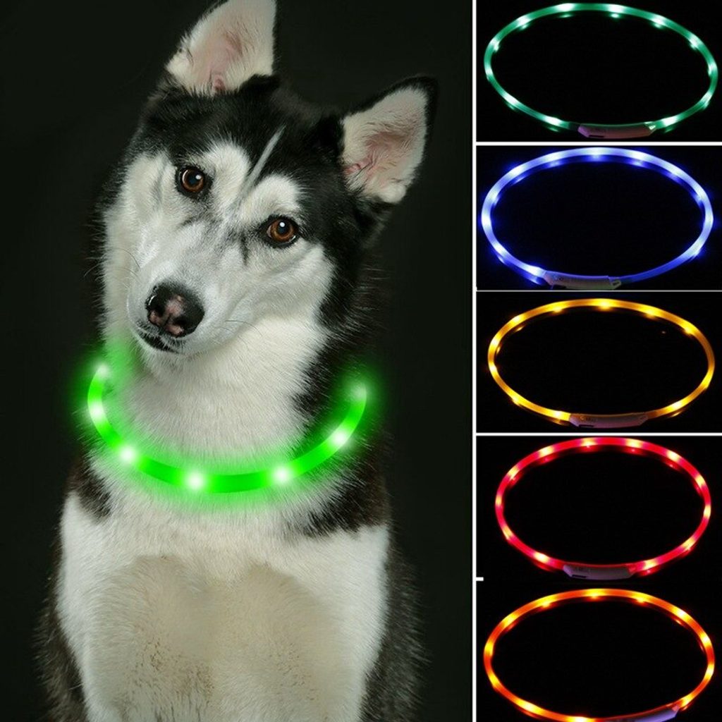 Reedog Easy Light világító nyakörv kutyáknak- univerzális méret - Világító  nyakörvek - Elektro-nyakörvek.hu