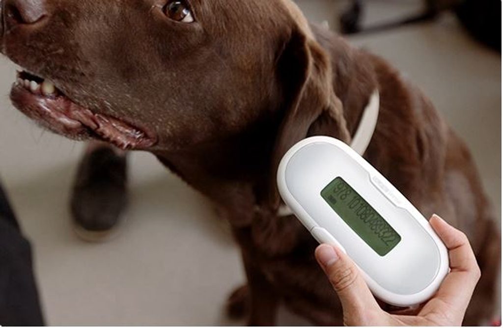 SureSense II chip reader for dogs and other pets - Chip readers -  Electric-Collars.com
