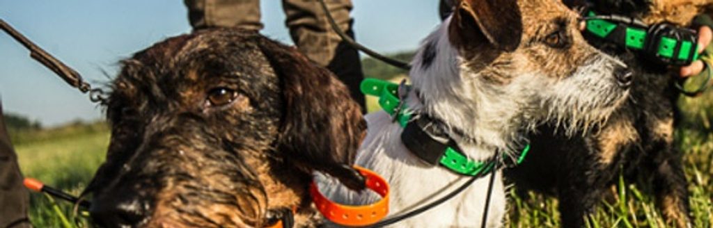 GPS für Hunde GARMIN vs. TRACKER - Wer von wem? Informieren Sie sich bei uns!
