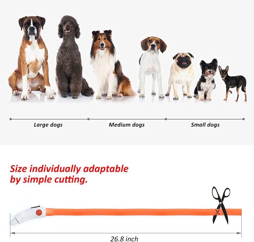 Light up collars for small dogs hot sale
