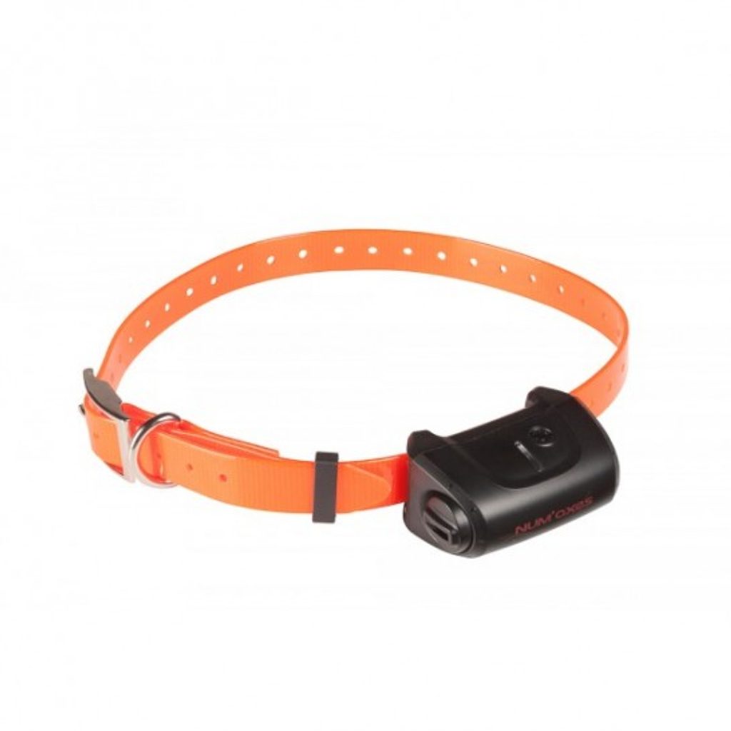 Canicom 5.1500 - Training collars - Electric-Collars.com