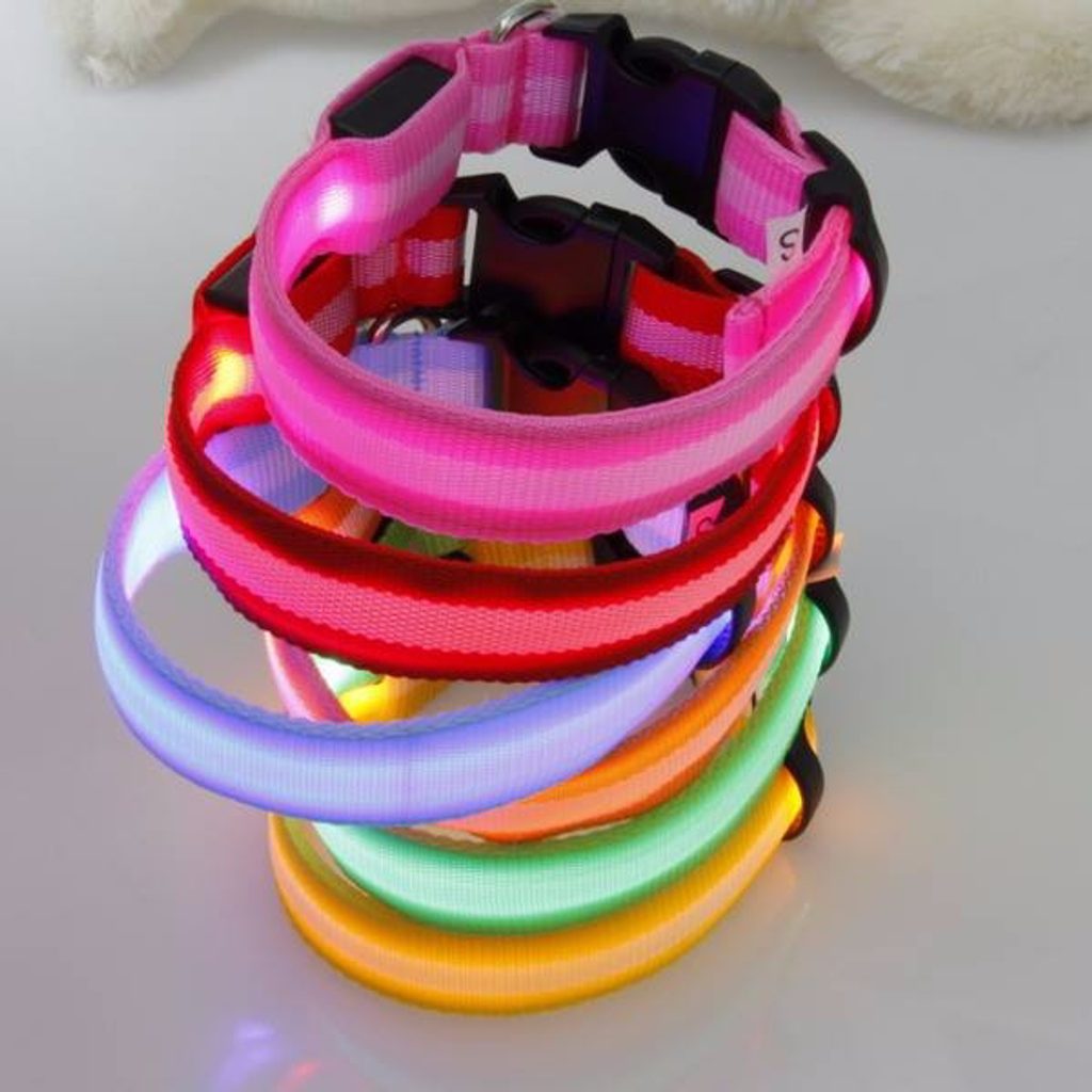 Reedog USB shining collar for dogs and cats NEW - Glowing collars -  Electric-Collars.com