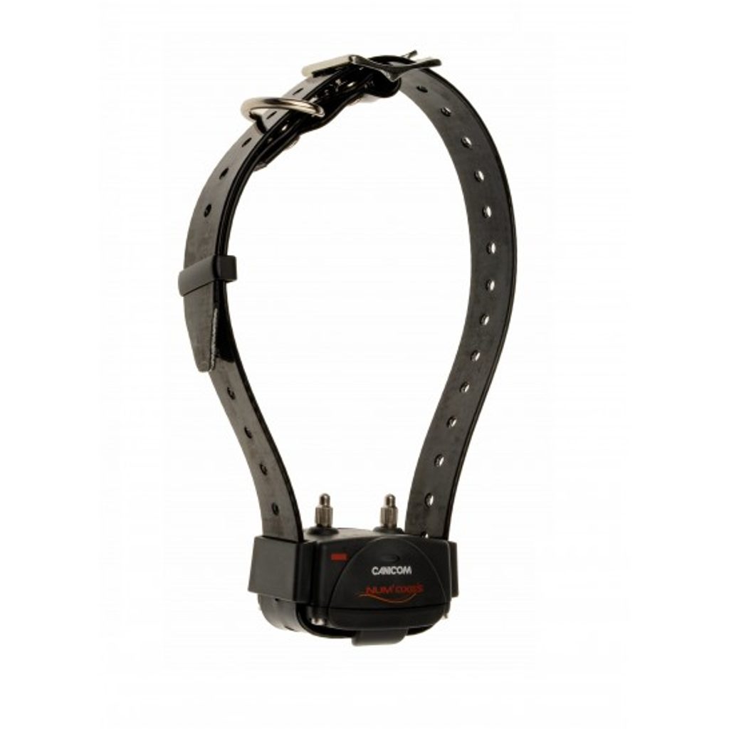 Canicom 800 - Training collars - Electric-Collars.com