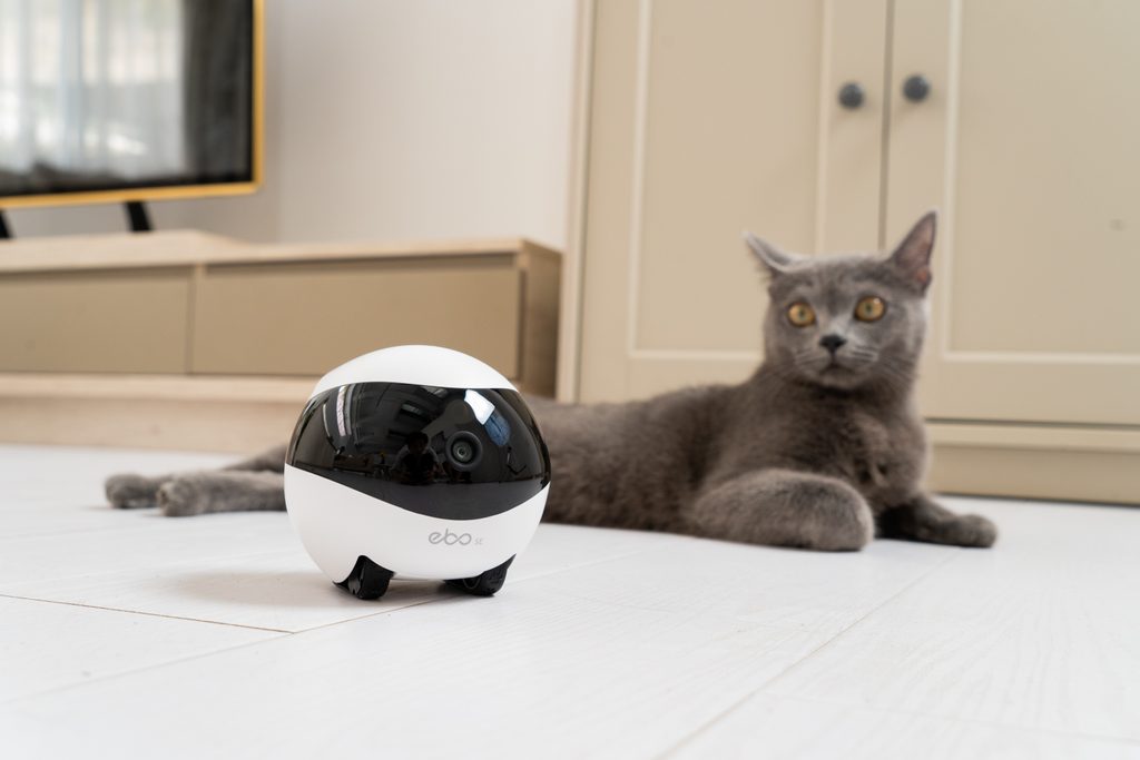 Mozgó kamera háziállatok számára EBO SE - Smart kamerák -  Elektro-nyakörvek.hu